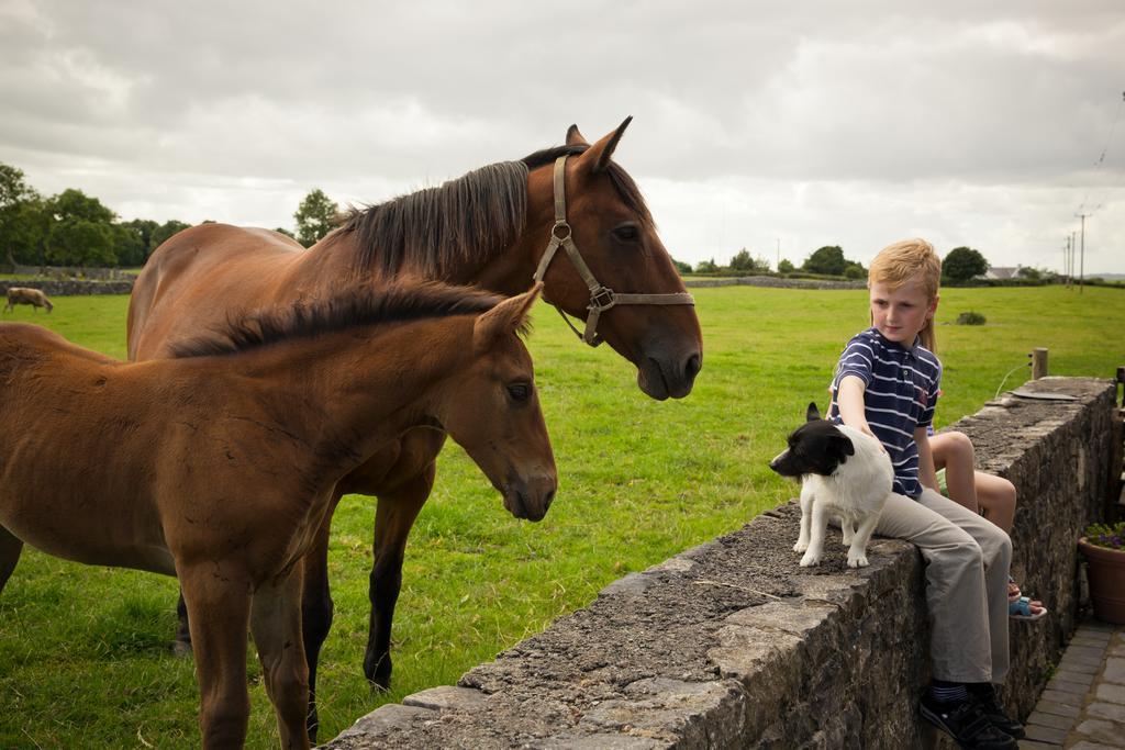 Cahergal Bed and breakfast 4*